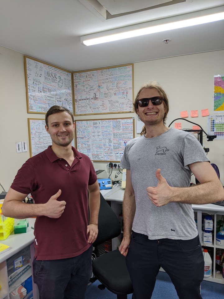 FoundryBio's tweet photo. Don't ask how long it took to get polarised lenses for the UV transilluminator, but gigantic thanks to Henry Forster for making sure we enter our 30s with (relatively) intact eyesight.
#20/20in2020 #youthought2020jokeswereover #wrong https://t.co/uzN2pWymHq