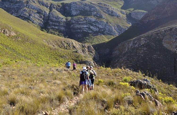 Experience the splendour of Botriver with @greenmountaintrail, who offer a 4 day hiking experience through fynbos and fruit farms, including @Beauwine, replete with farm stays, wine tasting and wholesome meals.