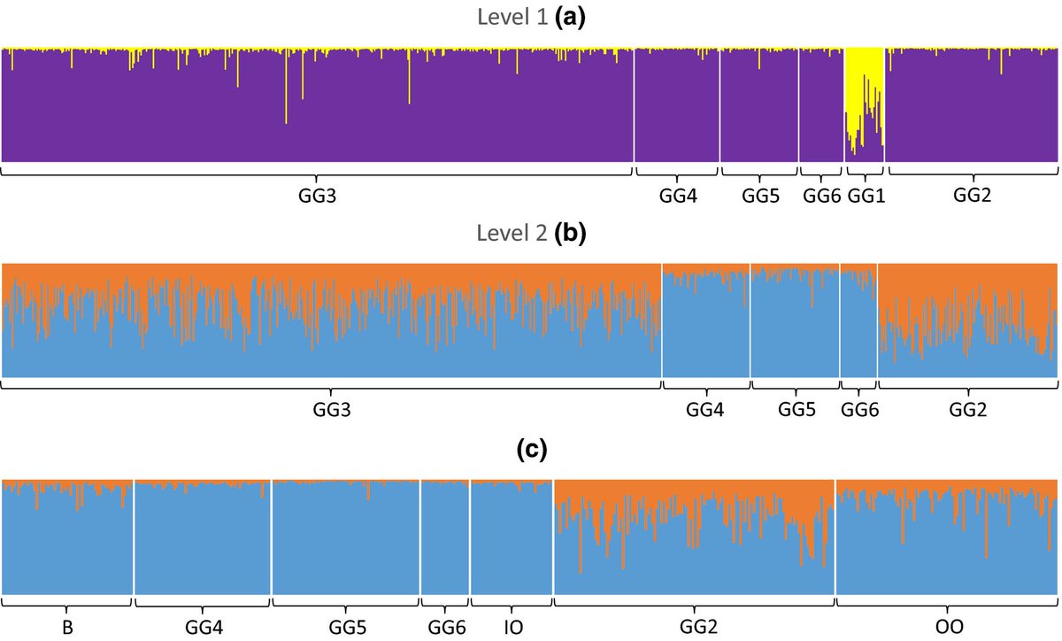 Ross Finlay's first paper of his PhD is out in <a href="/Ecol_Evol/">Ecology and Evolution</a> ! He used telemetry and population genetics to show asymmetric dispersal at a microgeographic scale in trout ! <a href="/MarineInst/">Marine Institute</a> @uccBEES <a href="/FishEcoEvo/">FishEyE</a> <a href="/TomEReed/">Tom Reed</a>  #fishsci onlinelibrary.wiley.com/doi/full/10.10…