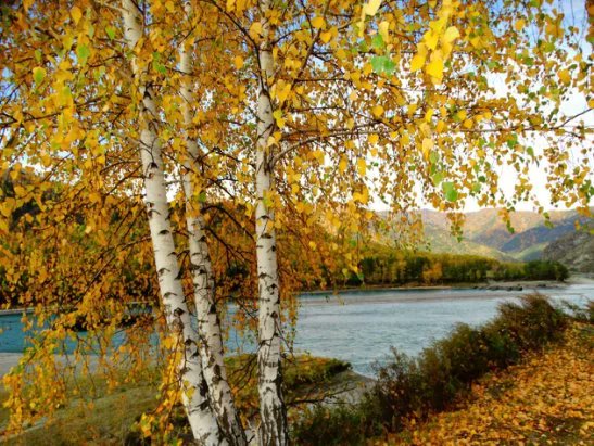Ambreen86026045's tweet photo. "HOPE IS THE DREAM OF A WAKING MAN... "
~Aristotle https://t.co/7O44TncNEW