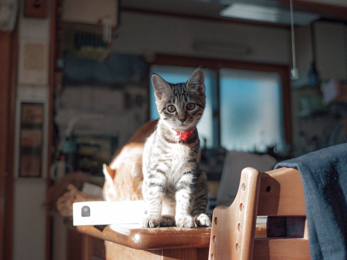 はちみつ tweet media