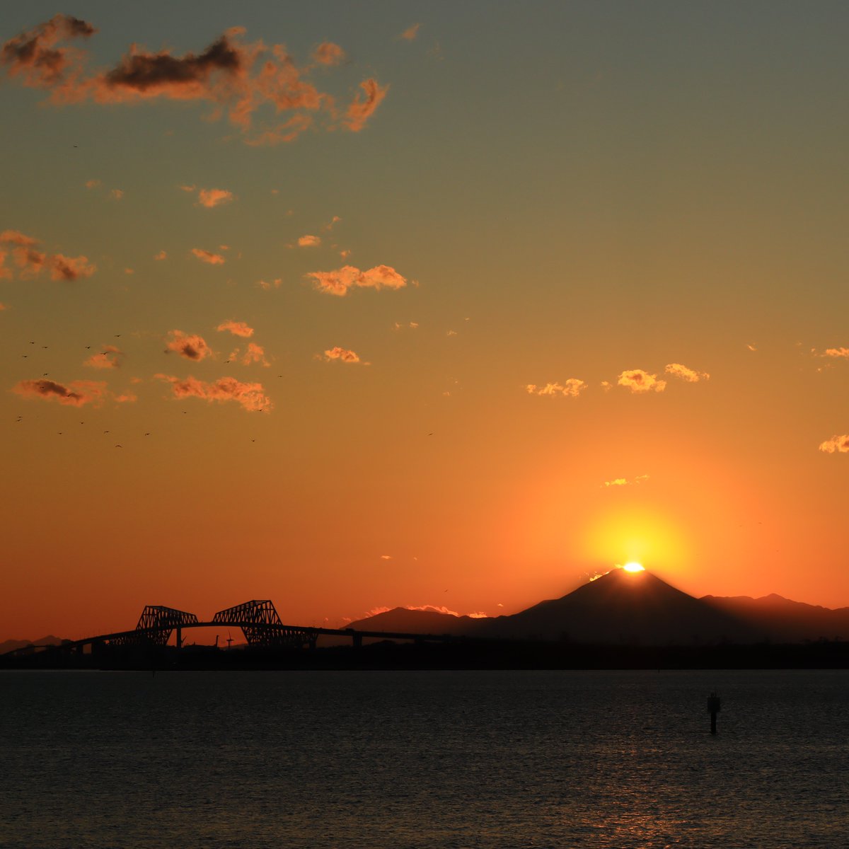 Poko 舞浜海岸の夕景 今日は葛西臨海公園から舞浜大橋を渡って舞浜海岸まで行って来ました ここは富士山とゲートブリッジが一緒に見れるので夕焼けを見るには最高ですね 舞浜海岸 夕景 夕焼け 富士山 東京ゲートブリッジ