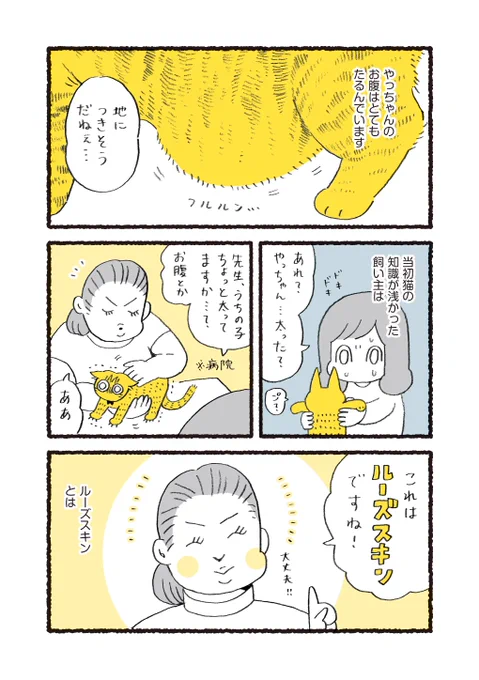 ねこのおなか(ルーズスキン)が大好きというお話 