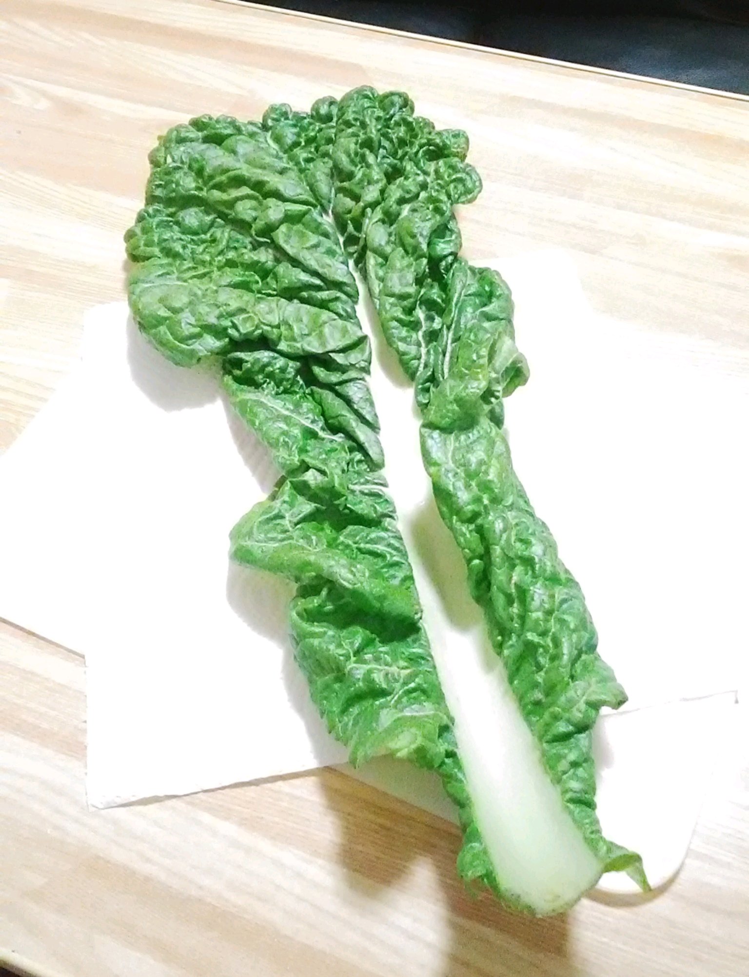 明利英司 小説家 寿司屋 かつお菜 を買ってみた 魚類の鰹 かつお に似た味がするといわれている福岡県の伝統野菜で お雑煮などに入れるらしい はたしてカツオの味がするだろうかと思い軽く茹でてから握ってみたが うーむ 野菜自体は じわじわ 明利英司 小説家 寿司屋 かつお菜 を買ってみた 魚類の鰹 かつお に似た味がするといわれている福岡県の伝統野菜で お雑煮などに入れるらしい はたしてカツオの味がするだろうかと思い軽く茹でてから握ってみたが うーむ 野菜自体は じわじわ