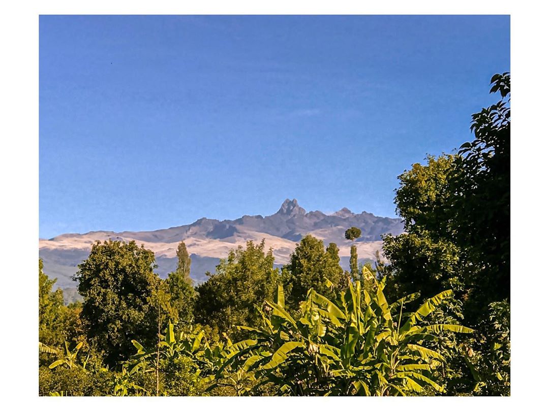 kenyapics's tweet photo. Kirinyaga County. Photos by Esha https://t.co/T7qI9bBDPZ
