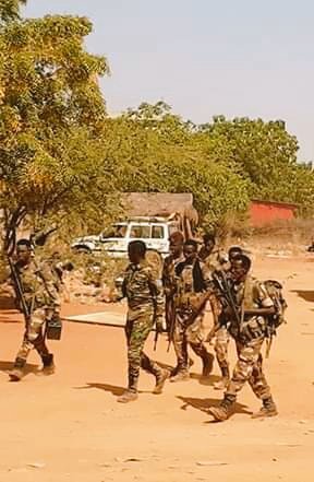Hundreds of regular SNAF units arrived Baladhawo joining troops deployed there at the beginning of this month.