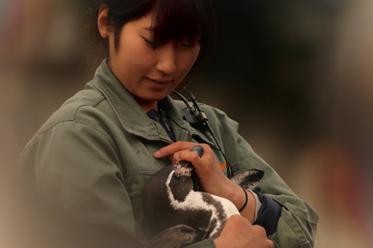 kon__gitsune's tweet photo. 自分の気に入っている、SKRIさん×パッタイの写真です

あぁ…😌(昇天)

#東武動物公園
#SKRI 
#パッタイ
#これを見た人は緑の画像を貼れ https://t.co/Z28FQgvBvW
