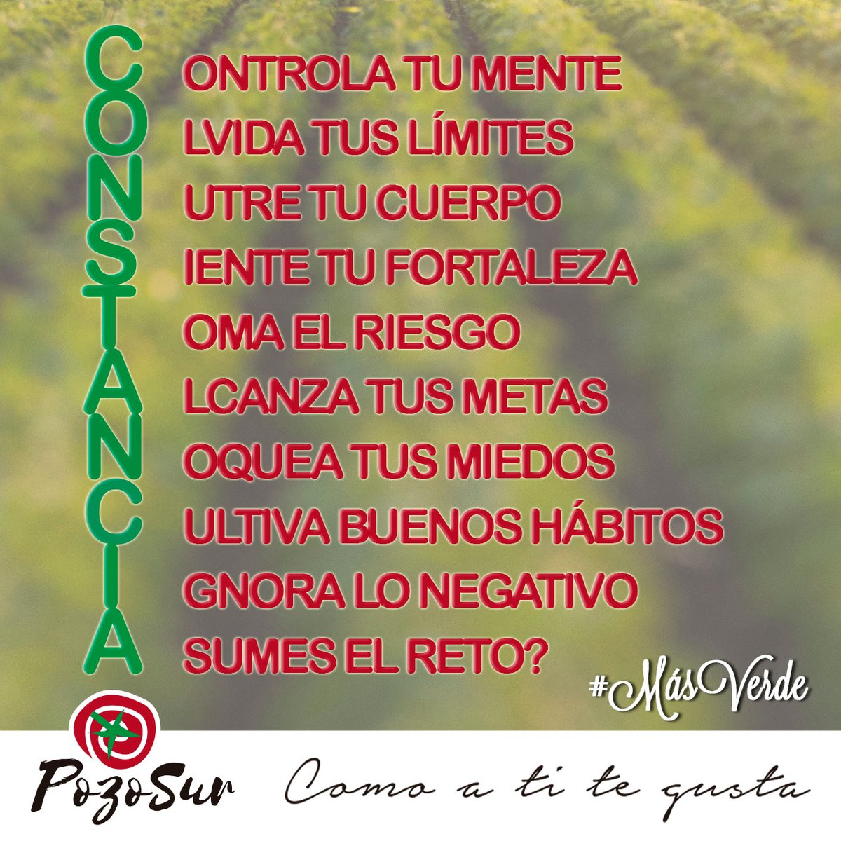Pozo_Sur's tweet photo. La Constancia es nuestro objetivo de cada día. ¿Asumes el reto? 

#agricultura #agriculture #agriculturaMurcia #Murcia #HuertaDeEuropa https://t.co/ZbIlWB381S