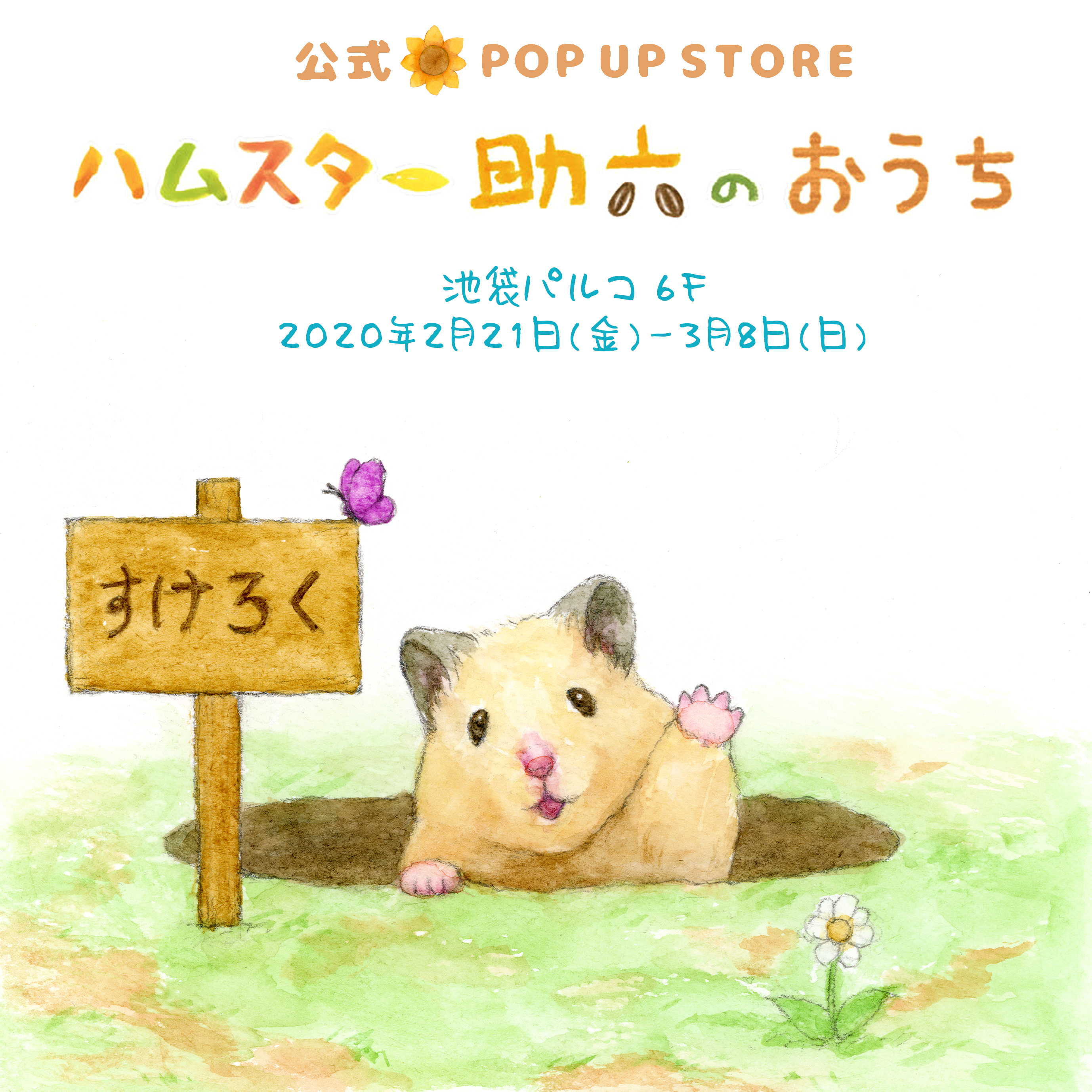 ハムスター助六の日常🌻ひまわり情報局【公式】 on X: 