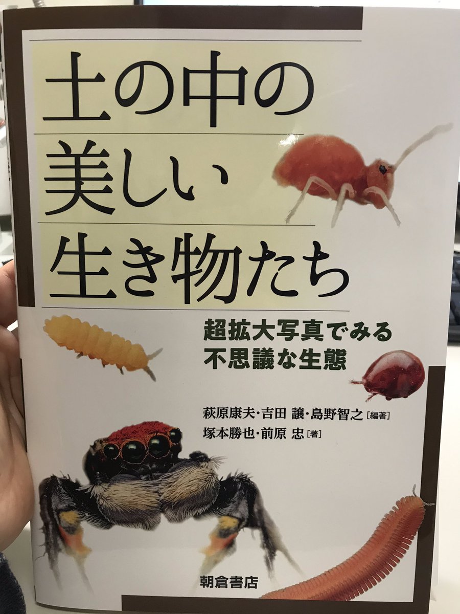 丸山宗利 Maruyama 土の中の美しい生き物たち を入手 あらゆる土の 生き物の代表種が出ており それらが美しい写真で紹介されている 足元にこんな世界があったのかと驚かされる一冊 最後に詳しく書かれている撮影法や観察会の実践法も面白い