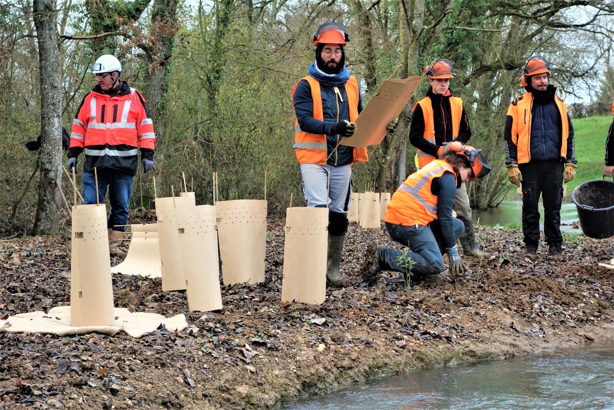 📷  #travaux de plantation sur les berges du nouveau lit du ruisseau « le Gratteloup » à la Ville-aux-Clercs, effectués en #collaboration avec les étudiants en génie écologique du CFPPA (Centre de Formation Professionnelle et de Promotion agricole) d’Angers Le Fresne 🌱
