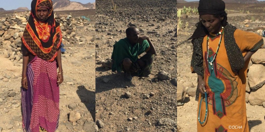 addisstandard's tweet photo. "#Elidaar woreda is one of the most challenging places in the region as the terrain is mostly rocky and at times sandy. Though some areas of rangeland were witnessed, the weak rains have not been sufficient to regenerate viable pasture for livestock, mostly of Goat and camels..." https://t.co/DNUU7WewDo