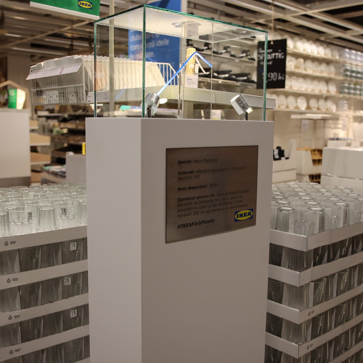 Acesta este, literalmente, ultimul exemplar de pai din plastic din magazinele noastre. Am decis să îl expunem pentru a ne reaminti că există alternative sustenabile și mult mai bune pentru mediu. 
IKEA.ro/Eliminarea-pla…