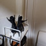 玄関で黒い人が踊ってる？!よく見てみたら妻のブーツだったw