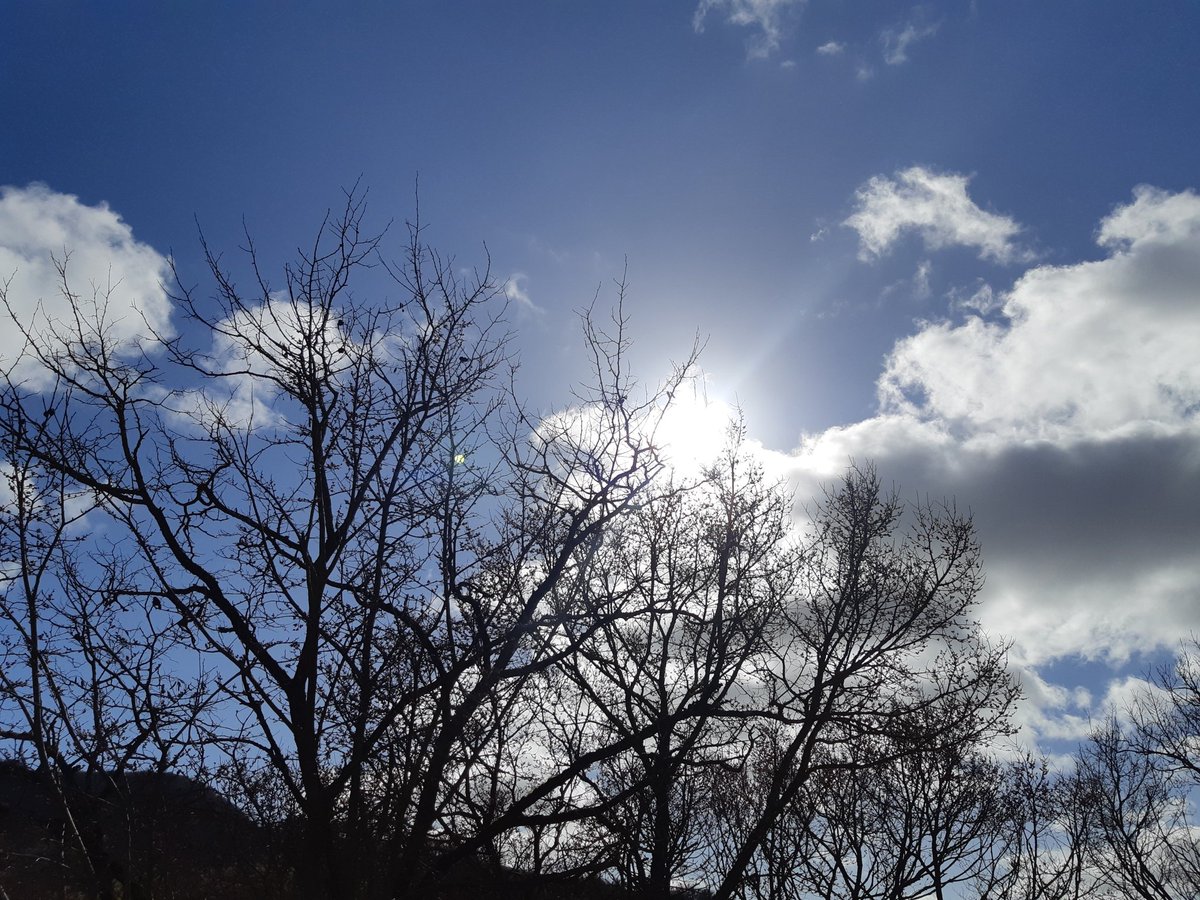 Fee_imaginaire's tweet photo. Aujourd'hui, le #soleil brille!!🌞🌼
🧚‍♀️💕
Rien de mieux pour profiter de l'#instantprésent!! Belle #aprèsmidi amis #Twitter!! 😉😊😁😘
#citation #ligue_des_optimistes #photography #art #paysage #nature #plaisirdesyeux #jevousfaisprofiter #intheworld https://t.co/DJaWQxxq8t