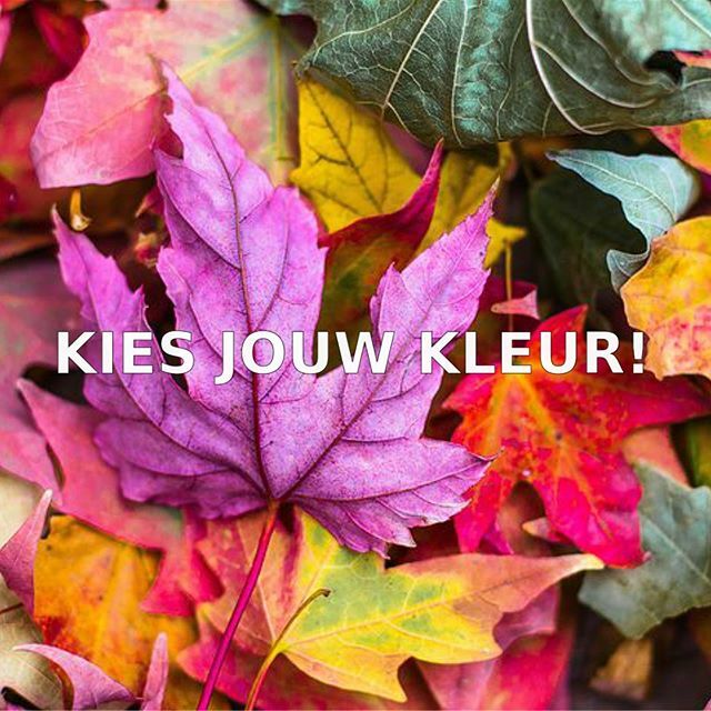 EasyActive6700's tweet photo. Kies jouw kleur! 
Er zijn zoveel kleuren als er smaken zijn. Dat geldt ook voor de beweegsmaken op de sportvloer. En er is niet 1 juiste kleur voor jou. Je kunt combineren en afwisselen! Juist in de mix van kracht, lenigheid, conditie en ontspanning zit … https://t.co/h2NxL9N4NE https://t.co/b5almJMmYV
