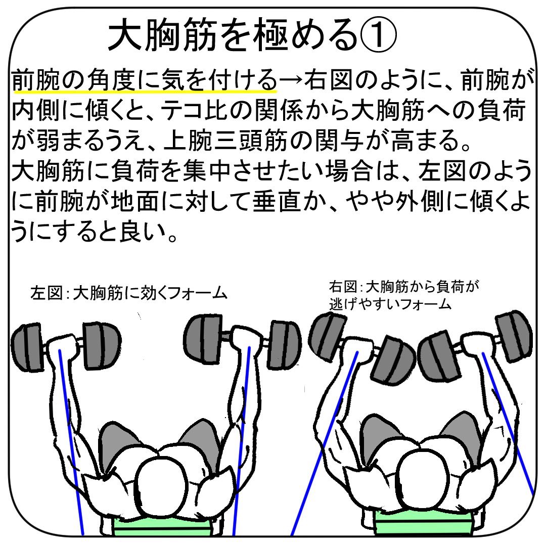 最新のhdイラスト 人間 体 つくり 最高のぬりえ