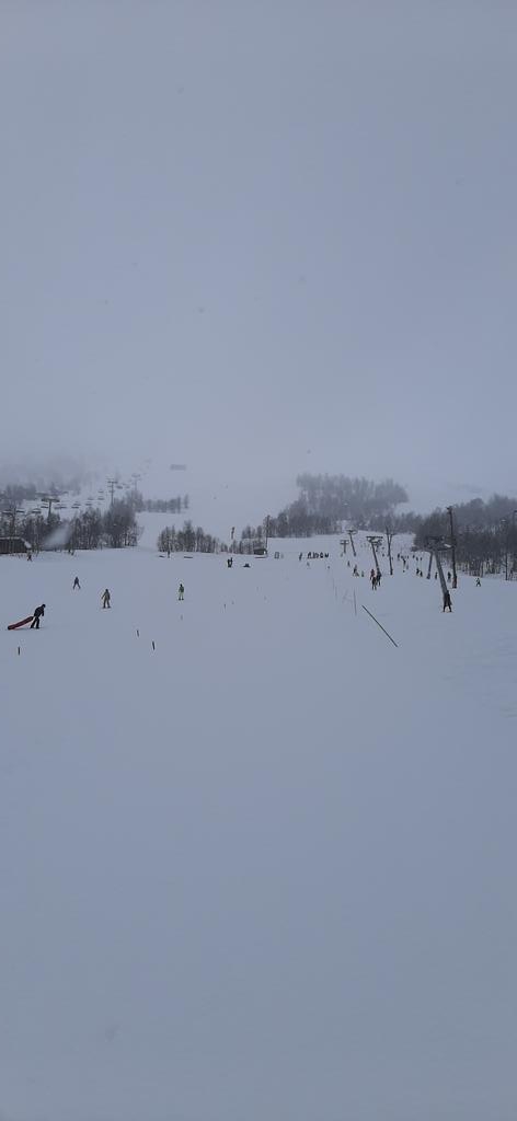BoxHillTrips's tweet photo. A successful second morning... better conditions today but the snow is still coming down heavily!! @boxhillschool #BoxHillSki #BoxHillAdventure #Norway2020 https://t.co/Yea4vQgJYD