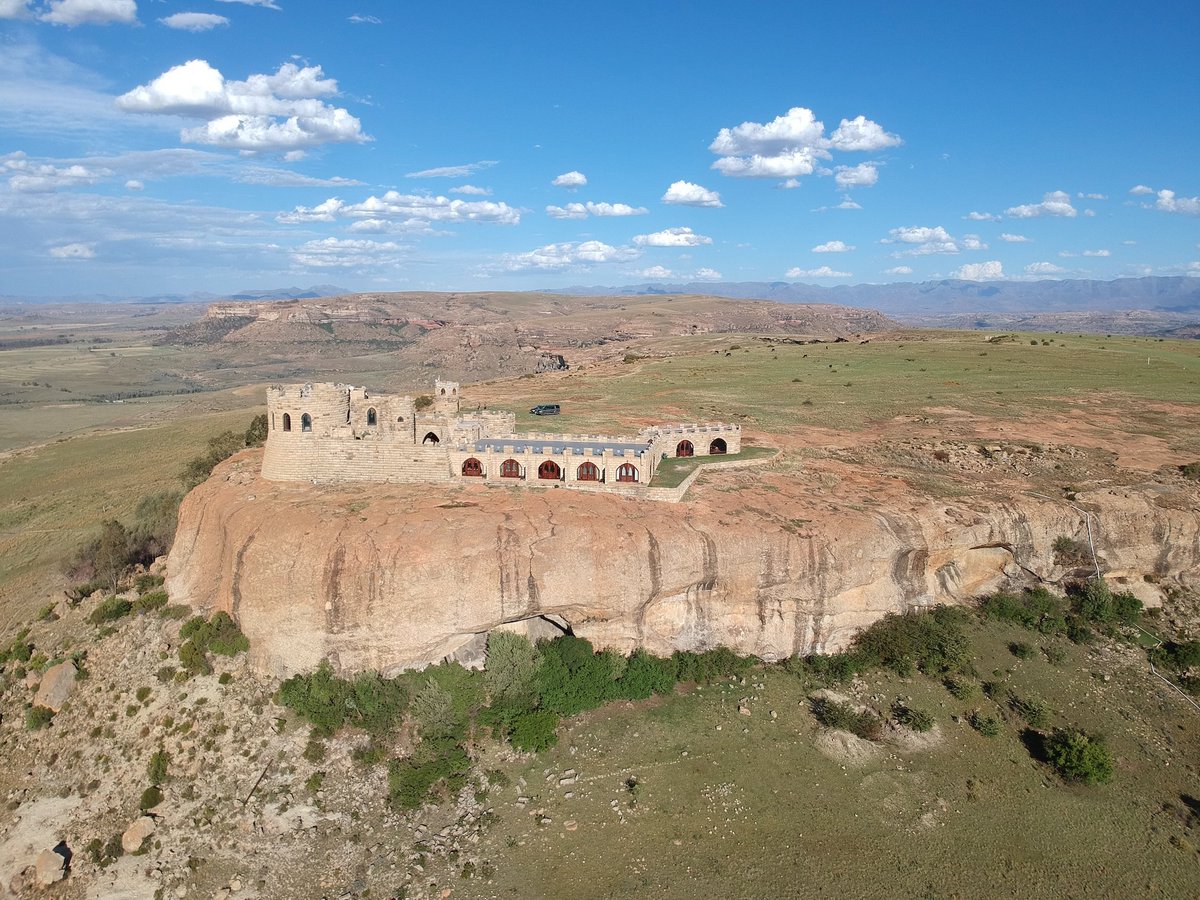 Devlin Fogg tweet media