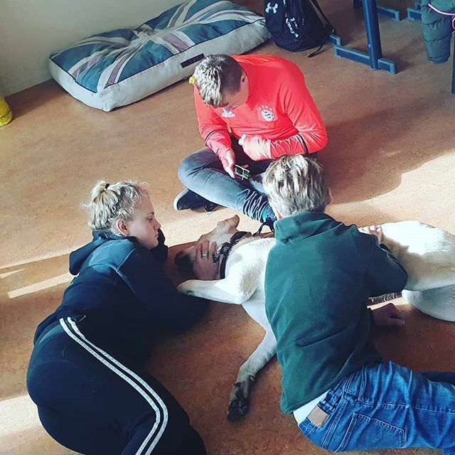Er is ook tijd voor ontspanning! De hond van dhr. Van der Kruk was mee voor een hondenles. De leerlingen mochten na de les nog even knuffelen.🐶