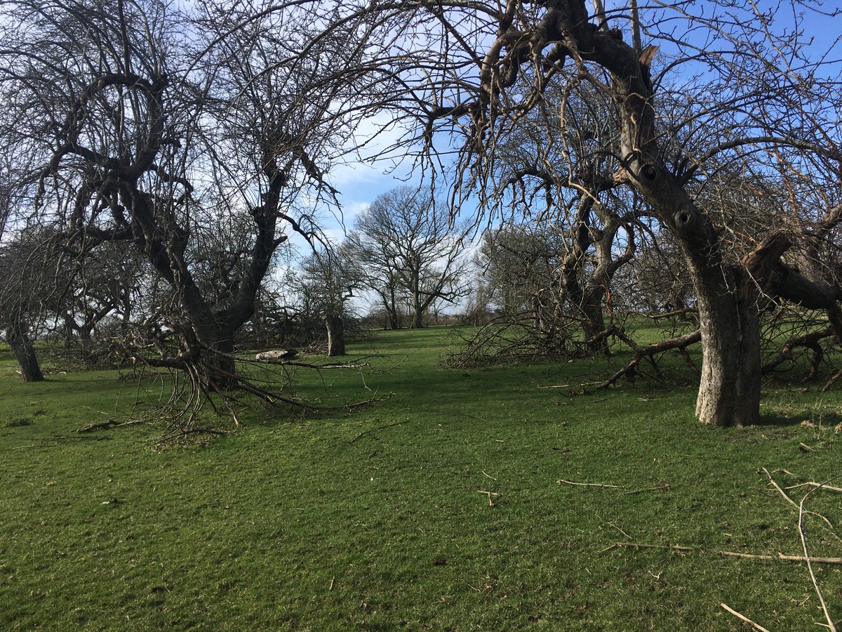 Nicholas Marston tweet media