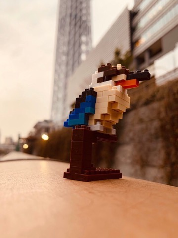 ナノブロックストア公式 ナノブロック 商品情報 ナノブロックでも珍しい 鳥シリーズの ワライカワセミが入荷しました 色鮮やかな配色が再現されているため スタッフおすすめです 935 税込 T Co Qzyu3rmkjs Twitter ナノブロックストア公式 ナノブロック 商品情報 ナノブロックでも珍しい 鳥シリーズの ワライカワセミが入荷しました 色鮮やかな配色が再現されているため スタッフおすすめです 935 税込 T Co Qzyu3rmkjs Twitter