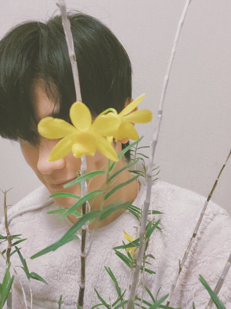 zhuzanjin's tweet photo. 花开了 https://t.co/YbhuNR9wdW