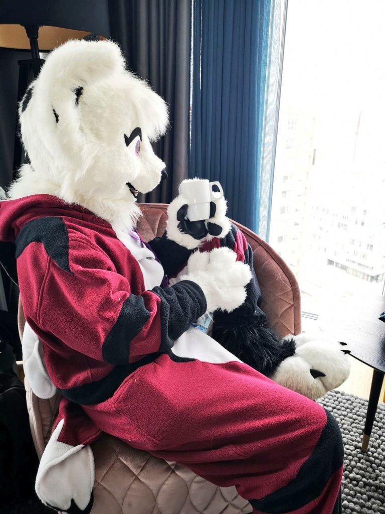 Chii 💜💜 kigu (by <a href="/Revaivwra/">Revaivwra</a> ) 
@CuteFursuits #fursuit #NFC2020