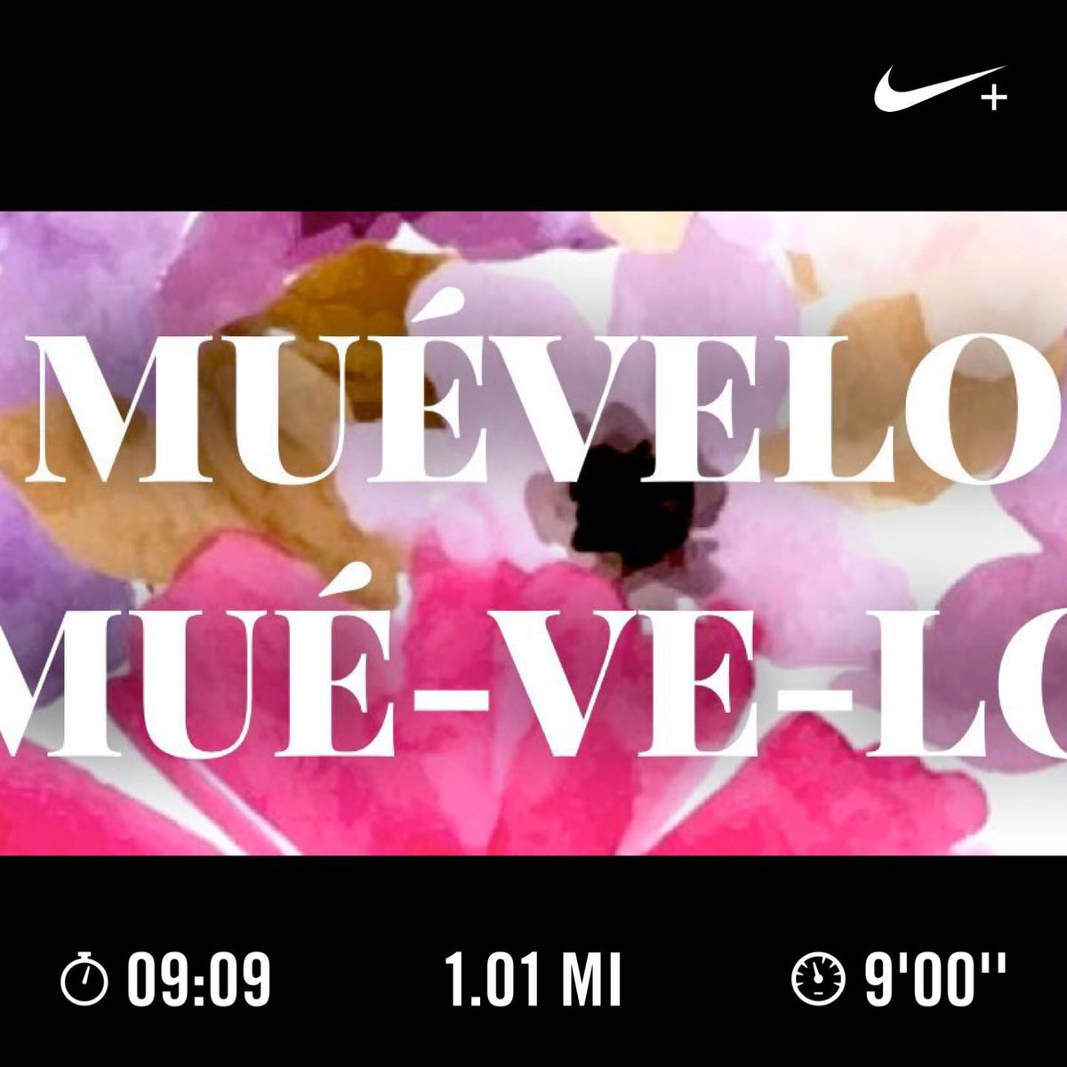 BelloDesigns's tweet photo. #BelloBello #MorningRuns https://t.co/P5NY0MjWXJ