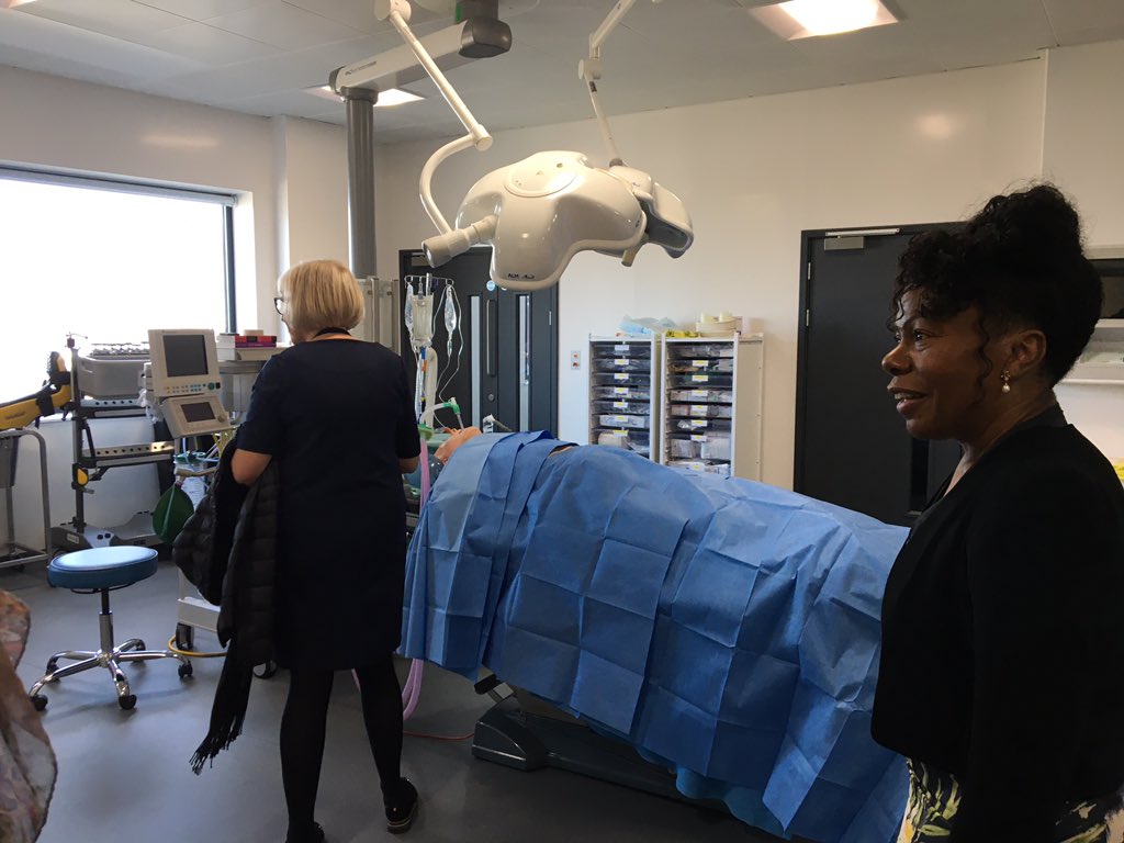 Claire Mathews RM, CSPHN HV, PMA, MBA tweet media