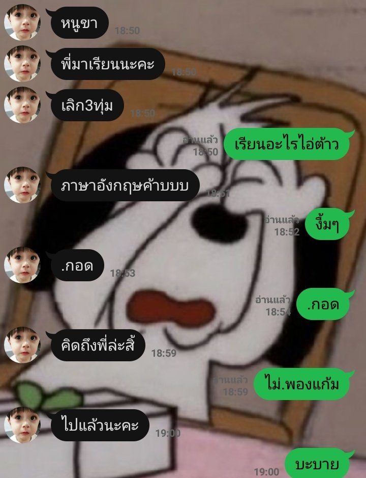 ขิงกระต่ายยักษ์ตัวนั้น tweet media