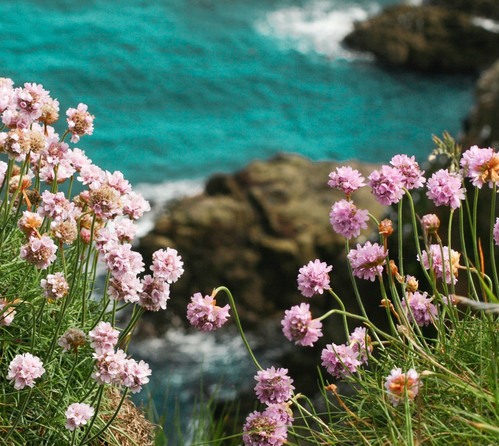 At Ness, we're inspired by the breathtaking Scottish countryside. We can always find vibrant colour wherever we look, and that's why Clova is our favourite tartan this week 🌸

In fact, we're offering 20% off all Clova accessories right now! Shop here: bit.ly/2vIYYln