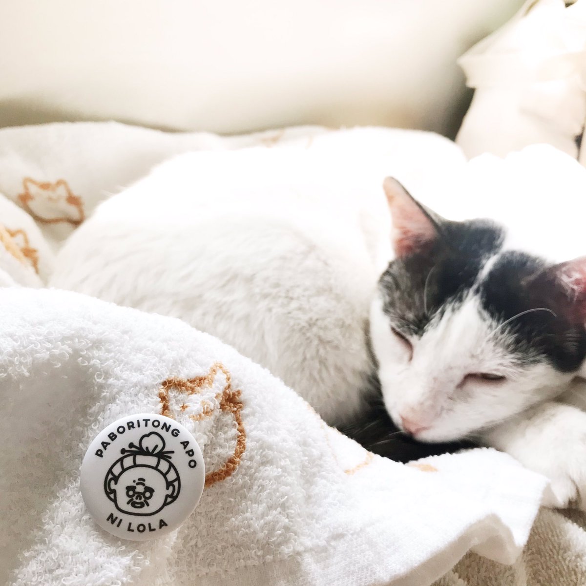 aydiosmioPH's tweet photo. Sorry sa inyo, pero nahanap ko na ang aking paboritong apo! 🐱 Alamin ang kwento ni Noisy sa IG ni Lola, at abangan ang mga limited edition Noisy stickers na ito from different artists, available sa #stickerconmnl. 🥰 https://t.co/hvw0QwtHkW