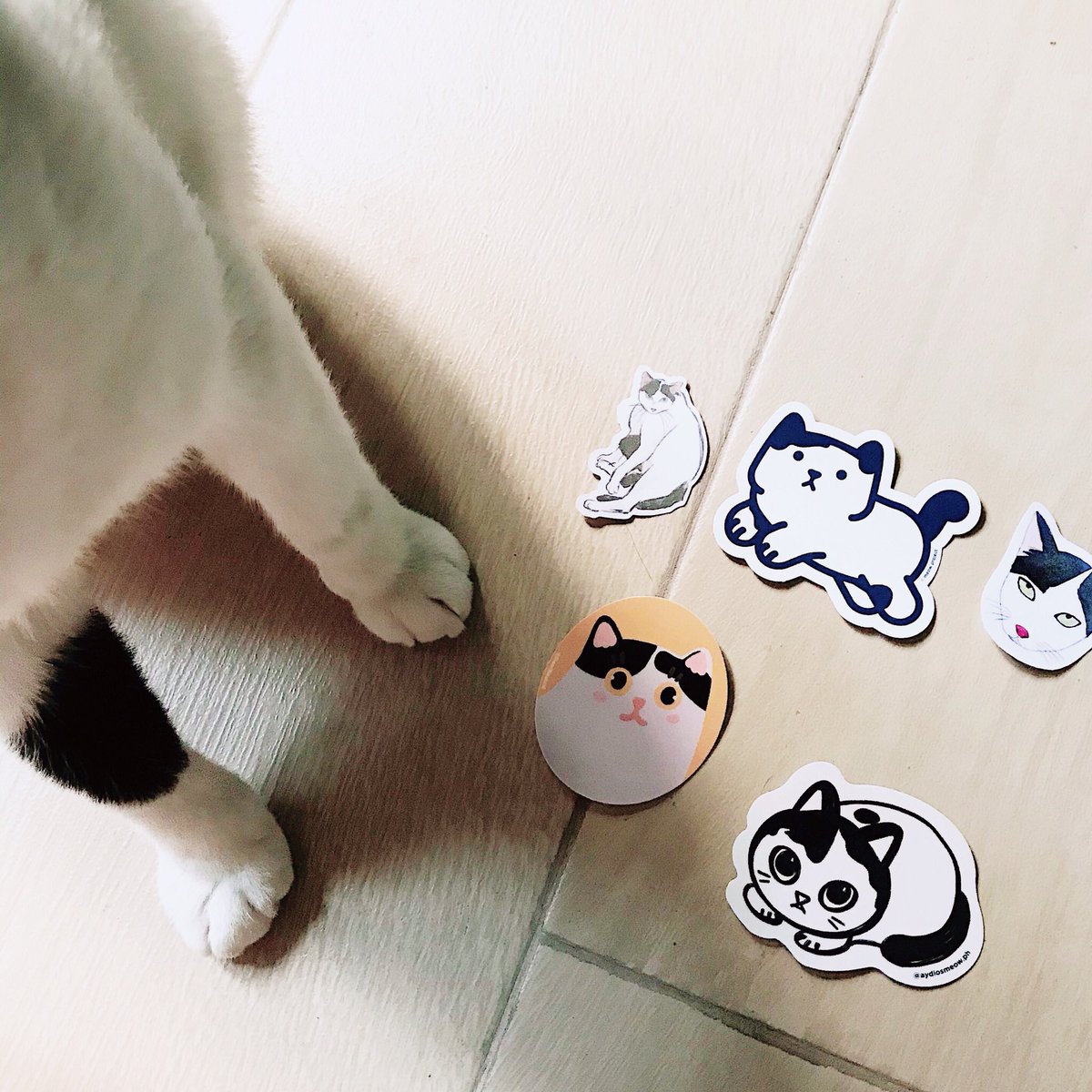 aydiosmioPH's tweet photo. Sorry sa inyo, pero nahanap ko na ang aking paboritong apo! 🐱 Alamin ang kwento ni Noisy sa IG ni Lola, at abangan ang mga limited edition Noisy stickers na ito from different artists, available sa #stickerconmnl. 🥰 https://t.co/hvw0QwtHkW