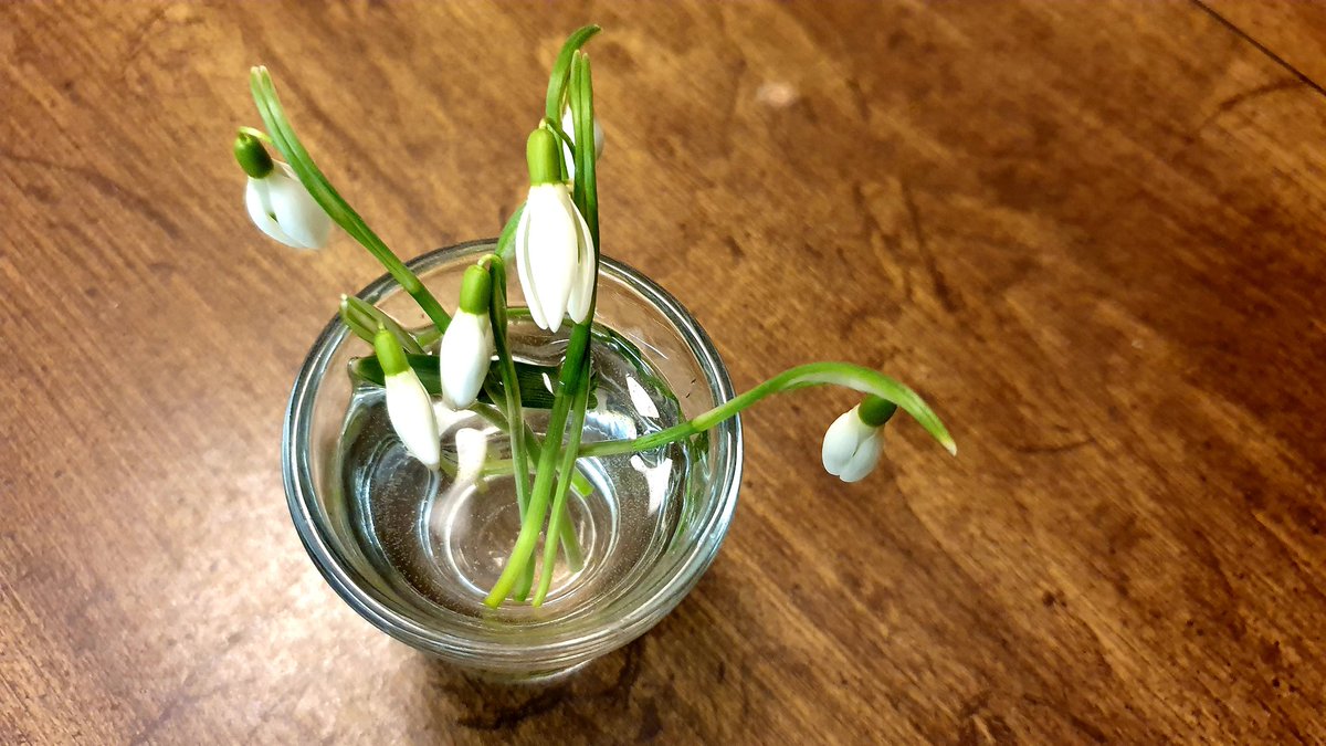 Norann Voll tweet media