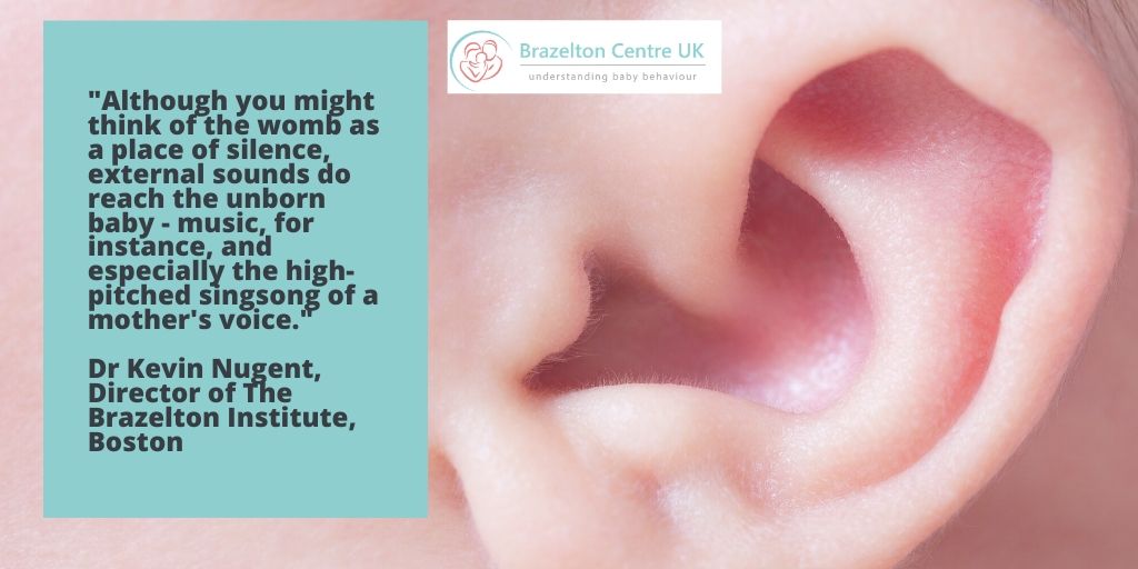 BrazeltonUK's tweet photo. Baby communication starts from the moment they are born and they get ready in the womb.
#BeforeWords https://t.co/kEQUzcKRlF