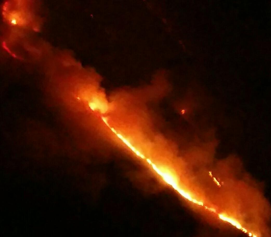 TerryReporta's tweet photo. 📣 #ParqueNacionalJuanPabloPeñaloza 370 hectáreas fueron consumidas por un incendio forestal que se salió de control en la madrugada, la causa fue por una cuerda de alta tensión por fuertes vientos, guarda parques Merida, Tachira y voluntarios se encuentra en el lugar. https://t.co/qKTVplALAb
