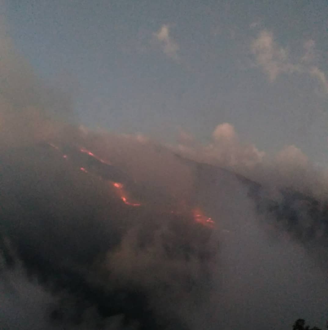 TerryReporta's tweet photo. 📣 #ParqueNacionalJuanPabloPeñaloza 370 hectáreas fueron consumidas por un incendio forestal que se salió de control en la madrugada, la causa fue por una cuerda de alta tensión por fuertes vientos, guarda parques Merida, Tachira y voluntarios se encuentra en el lugar. https://t.co/qKTVplALAb