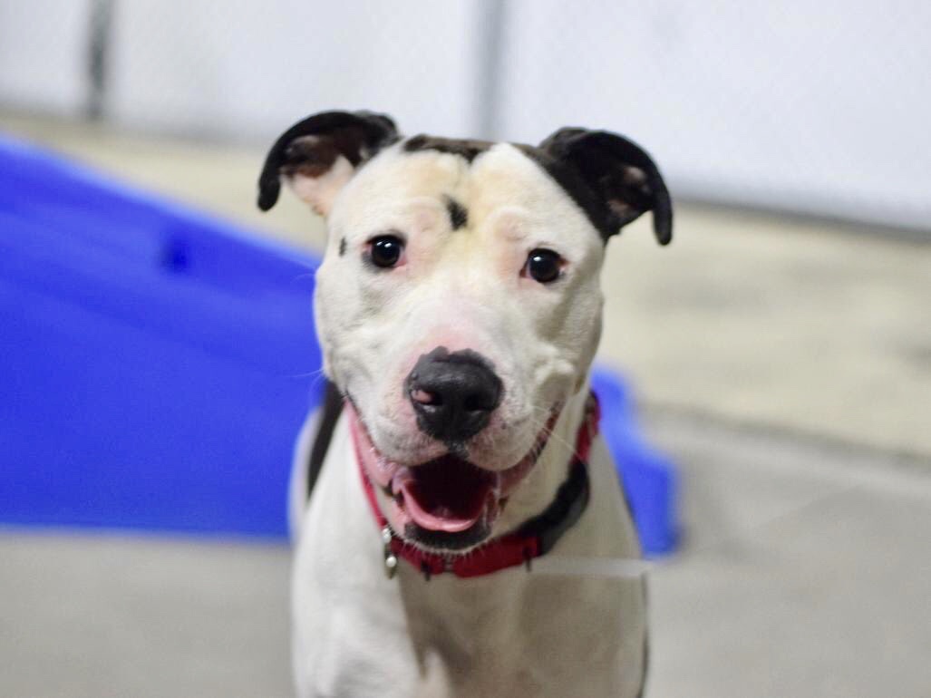 Keith Olbermann tweet media