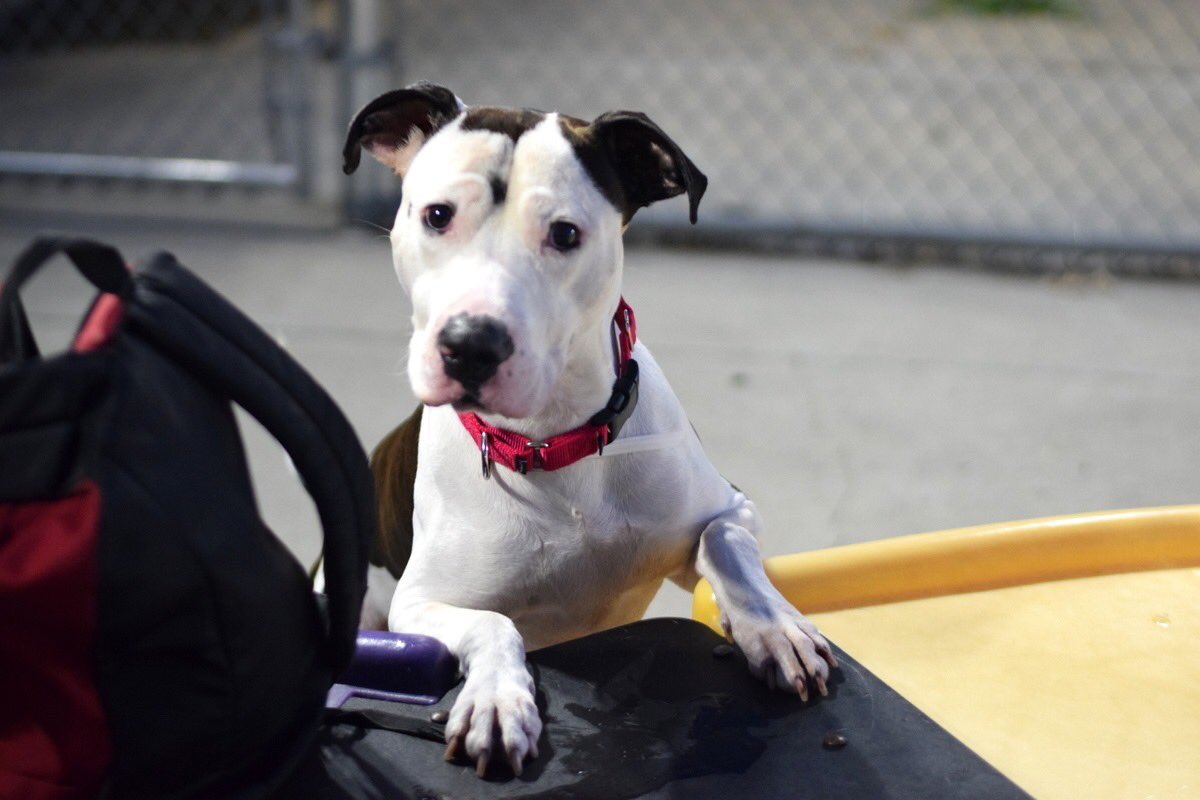 Keith Olbermann tweet media