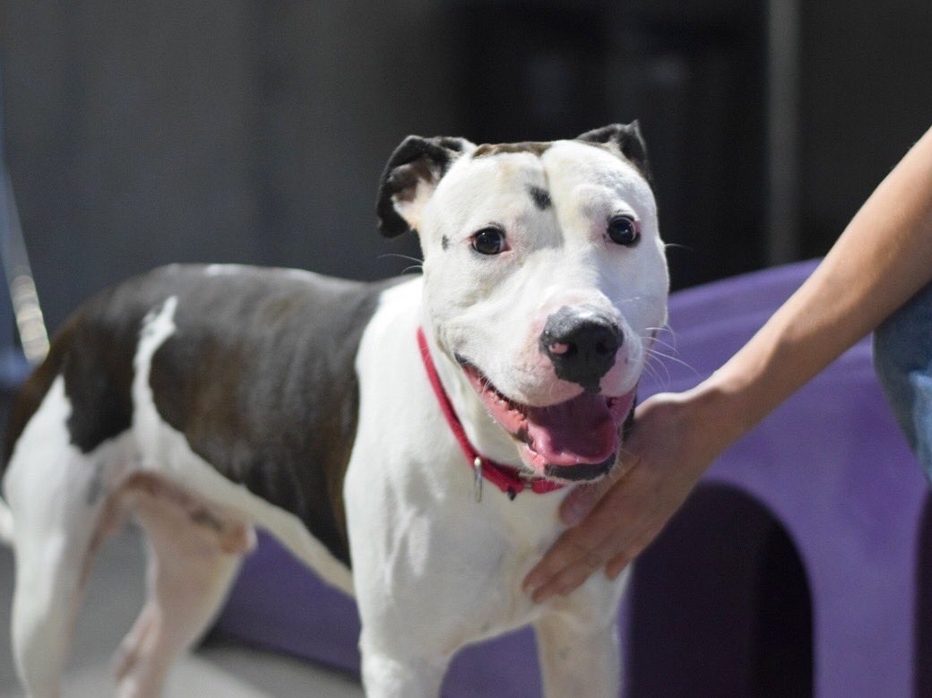 Keith Olbermann tweet media