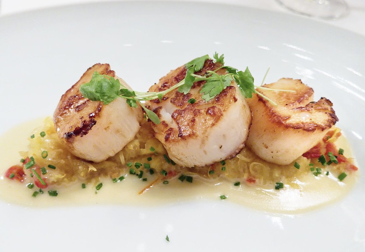StandardFish's tweet photo. Our scallops offer the perfect texture and naturally sweet flavor for any gourmet recipe. Available in 5lb bags. 

Shop now: https://t.co/9KbI9sq9Lw https://t.co/Pm9QbiEtrJ