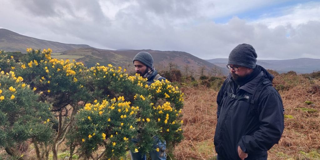stack_a_dublin's tweet photo. Head chef, Dan Keane and our kitchen team ensure that they include wild Irish foraged ingredients in our dishes that pay homage to Irish seasonality. Their most recent trip was to the Wicklow mountains, see below for more.
#StackARestaurant #Foraging https://t.co/eq0NRXnX3T