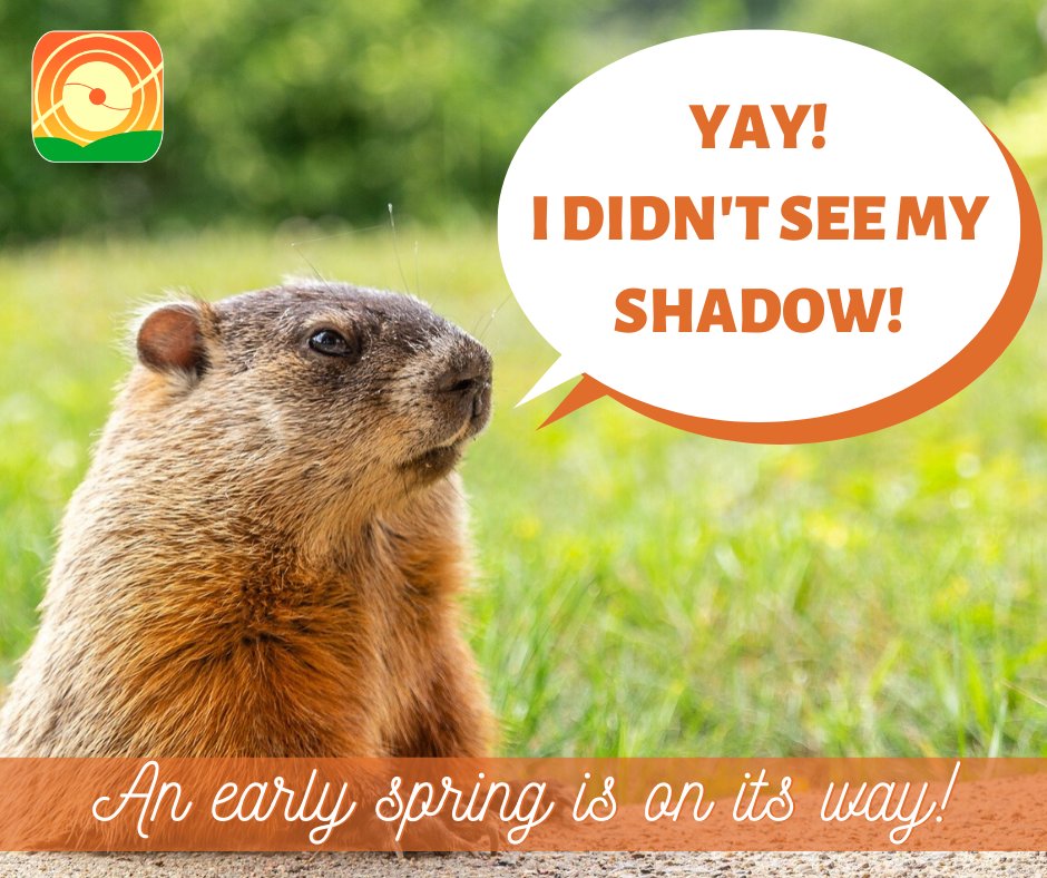 If you haven't heard, Punxsutawney Phil didn't see his shadow.  If you trust Phil as your meteorologist, that means an early spring is on its way.  Give SLS a call to schedule your spring clean up services!