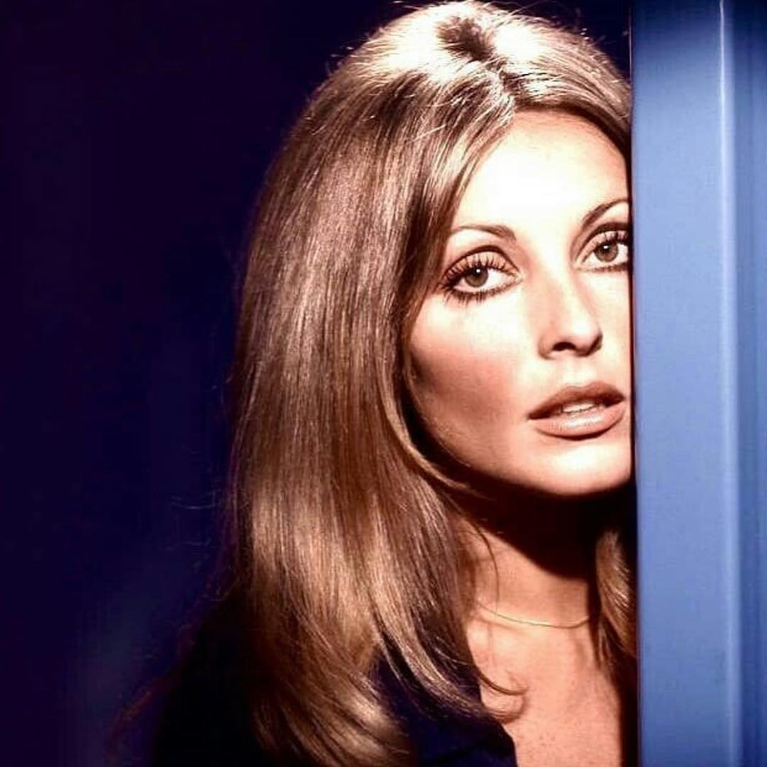 Fontaine's Bar tweet media