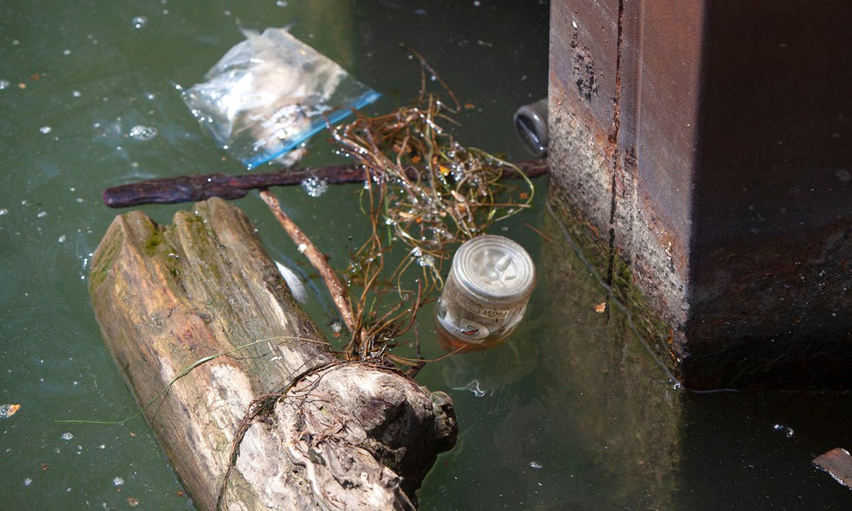 ActWithShedd's tweet image. Legislation was introduced in Illinois today aimed at tackling plastic pollution, which threatens aquatic wildlife in the #GreatLakes &amp;amp; across the globe. Thank you, @RepAnnWilliams &amp;amp; @SenatorBush, for protecting our waterways! Learn more: ilenviro.org/plastic-free-w… #LetsSheddPlastic