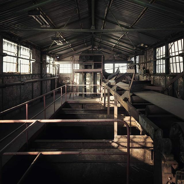 go2know's tweet photo. Klein, aber fein. Dieses verlassene alte Ferndampfwerk in der Lausitz ist jetzt neu in unserem Programm. Ein Ort mit fantastischem Licht, wunderschönen Strukturen und vielen Details. Ideal zum Shooten. Tickets gibt's bei:
.
https://t.co/V0yxBwKmgM https://t.co/NLVQqkIN4v https://t.co/H6rCDdAZdT