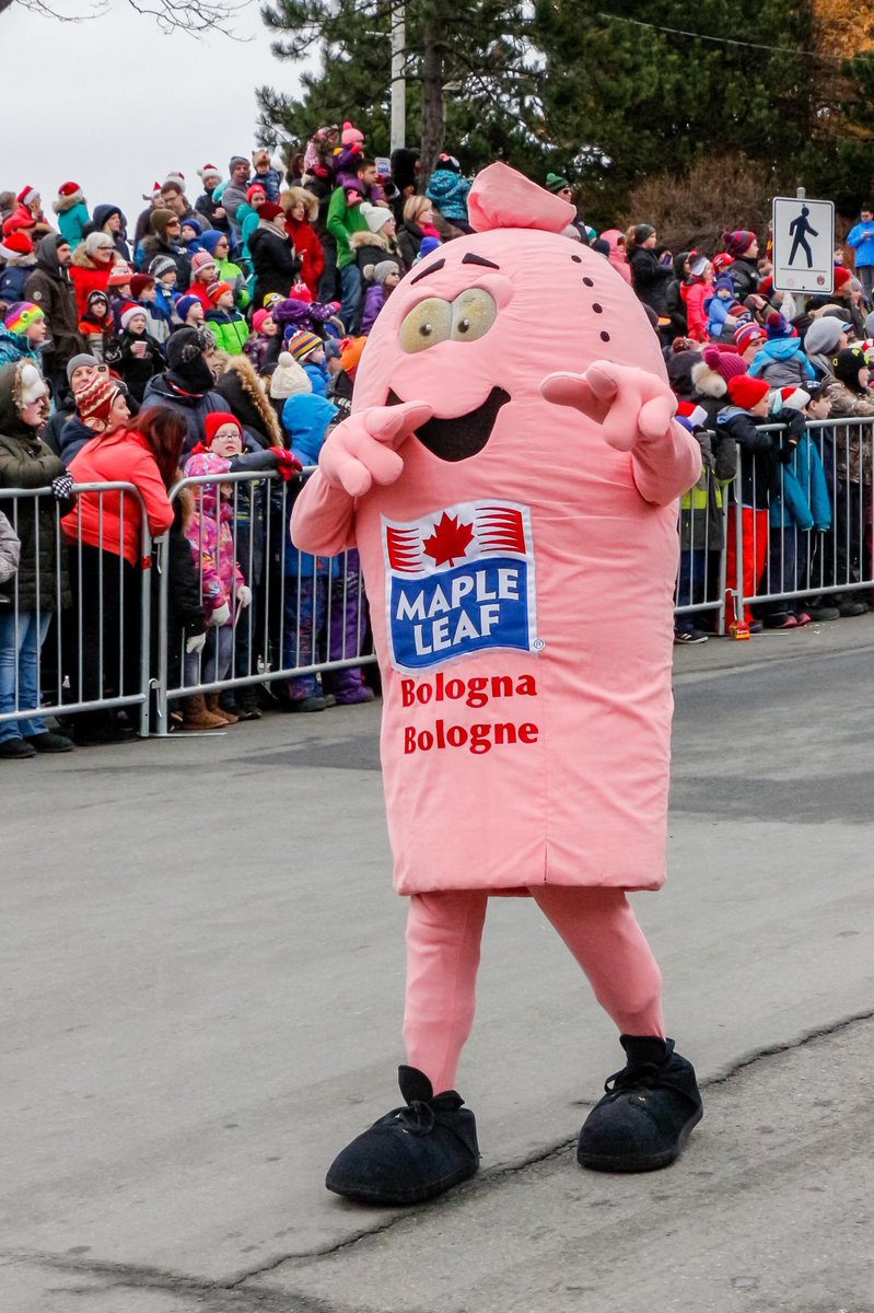 markcritch's tweet photo. There is only one choice for Premier of Newfoundland and Labrador that we can all agree on #nlpoli https://t.co/DacDMM2E9u