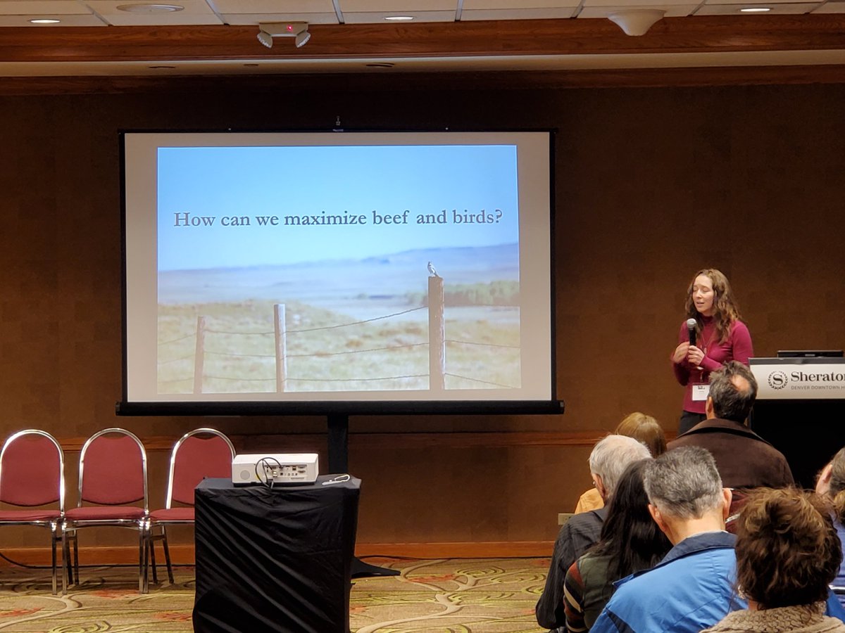 Kristen Davis talking at the SRM Meeting in Denver about her MS Research on Birds and Beef management through Collaboratvie Adaptive Resource Management. Heterogeneity of the landscape is a tight Balancing Act!