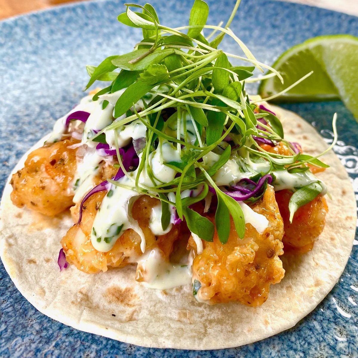 CopperBluesWPB's tweet photo. Taco Tuesday! Come check out our taco of the week with our homemade fresh salsa bar                   
->Boom Boom Shrimo Taco: crispy shrimp|tossed in spicy boom boom sauce|cilantro cabbage slaw |jalapeno lime aioli #TacoTuesday #rosemarysquare #salsabar https://t.co/fQ0jBxe0yT
